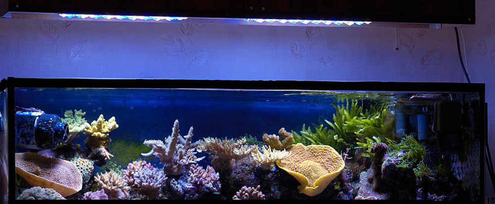 Светильник светодиодный SunSun AD-150 для нано аквариума